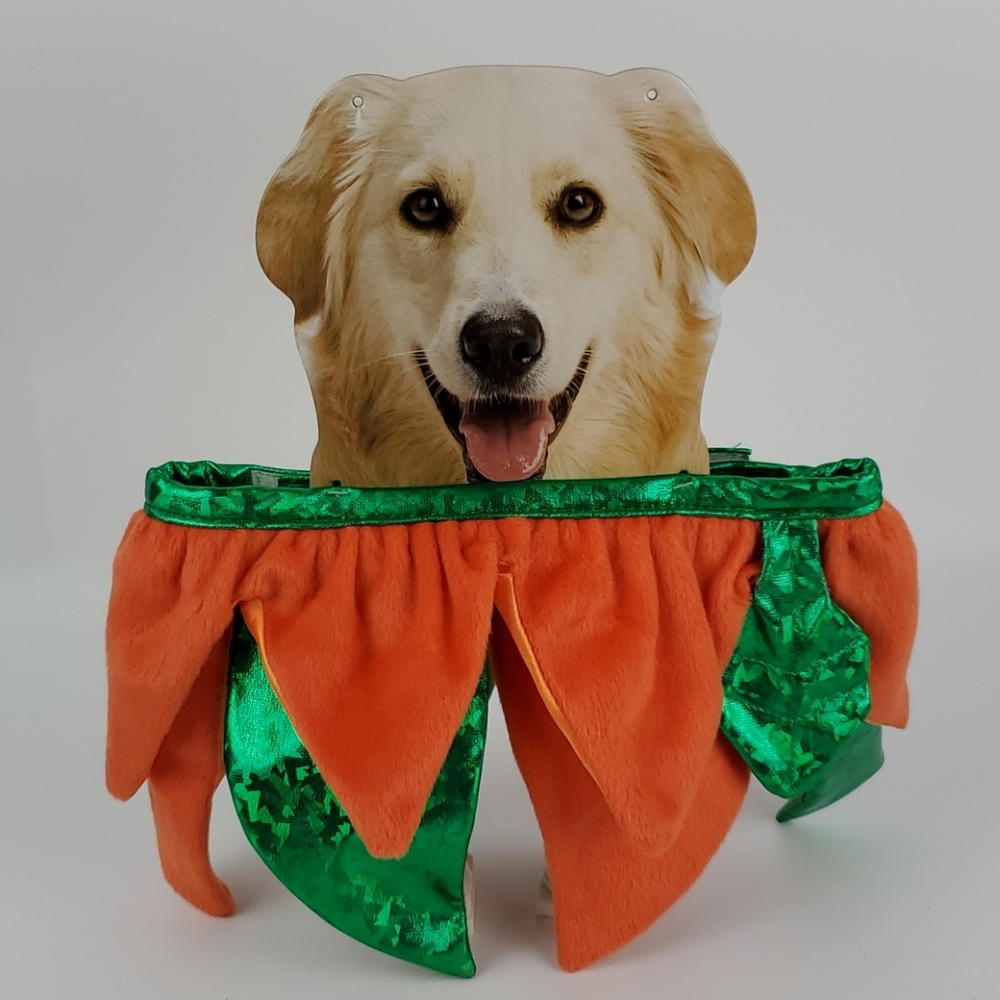 Halloween Dog Costume Size M/L